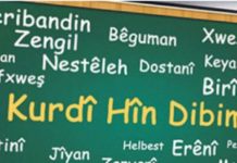 Zimanê dayikê, mîna şîrê dayikê pak û şîrîn e.