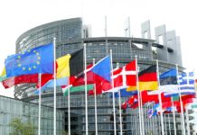1. KONFERANSA NAVNETEWÎ YA KURDÊN ANATOLIYA NAVÎN LI PARLAMENTOYÊ EWROPA AVRUPA PARLAMENTOSUN’DA 1. ULUSLARARASI ORTA ANADOLU KÜRTLERİ KONFERANSI.
