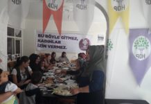 Jine HDP Li Şerefli Koçhisarê Civîyan