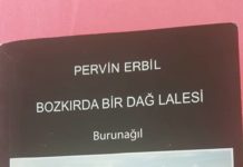 PIRTÛKA LI SER BIRNAXLIYE!