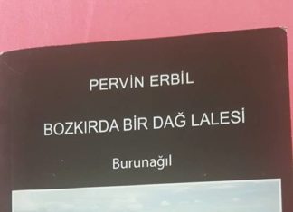PIRTÛKA LI SER BIRNAXLIYE!