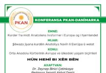 Davetname / Platforma Kurden Anatoliya Navîn-Danimarka