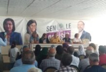 Leyla Gûven Hate Qemera (Yapali)