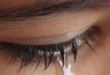ZAROKÊ SÊWÎ / Xizan Şîlan