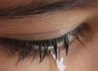 ZAROKÊ SÊWÎ / Xizan Şîlan