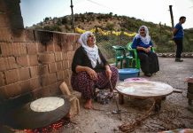 Jinên Kurd li Danimarka Nanê Şkeva lidixin