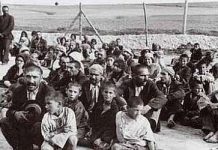 “Kürtten evliya koyma avluya!”/ Abdullah Como Kaya