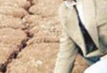 İç Anadolu’daki ‘kıtlık zamanı’/ Şoreş Reşî