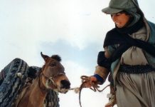 Sarhoş atlar Kopenhag’a da uğradı / Yusuf Z. Sütçü