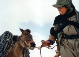 Sarhoş atlar Kopenhag’a da uğradı / Yusuf Z. Sütçü