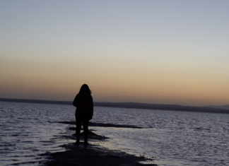 HÊVİYÊN REBEN / Xizan Şîlan