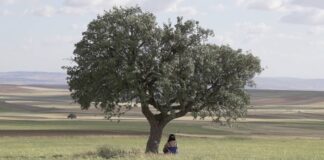 Lêger: Orta Anadolu Kürtlerinin hikayesi