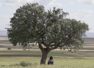 Fîlmê LÊGER, di 14. Festivala Fîlmên Kurdî – Berlîn de bê leyistandin.