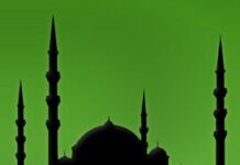 Medine Sözleşmesi Devrim Niteliğinde Bir Eylemdir / Perihan Yoğurtçu