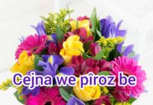 Cejna (Îda) we ya qurbanê pîroz be!