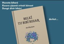 Pirtûka Med Reşîyan a Nû Derket!